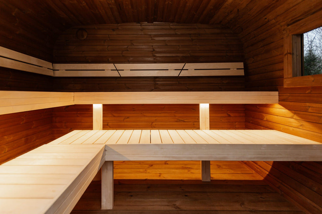 LUX MINI Panoramasauna 245×300